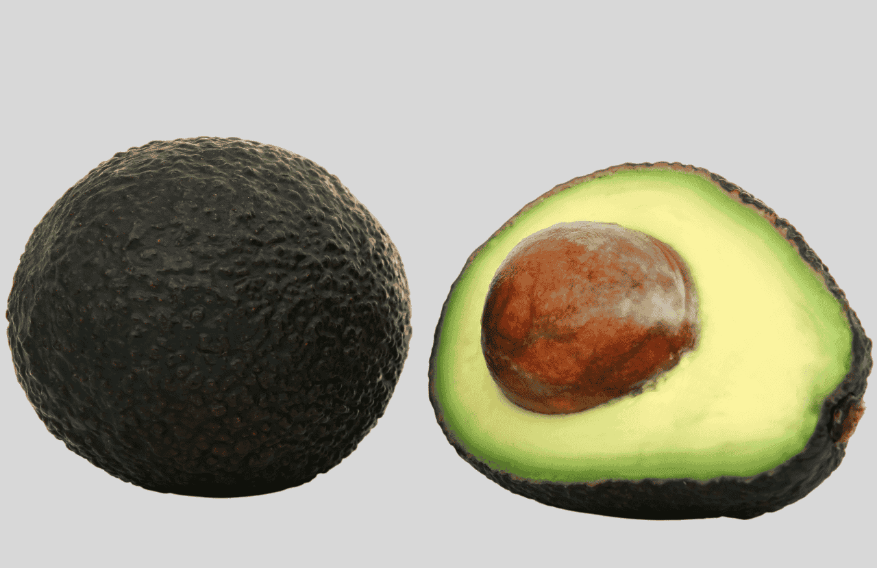 avacado vishal nursery