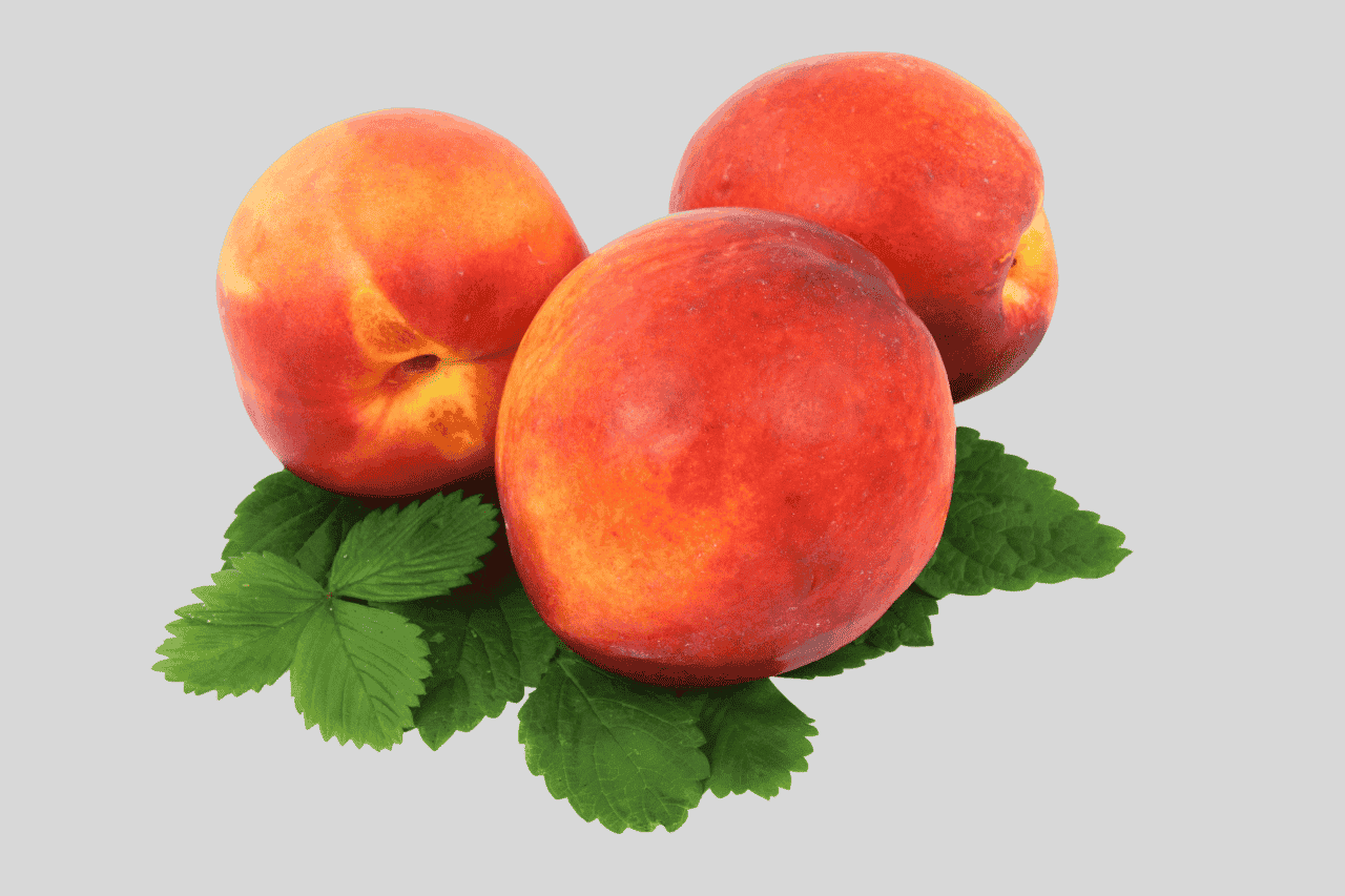 peach vishal nursery