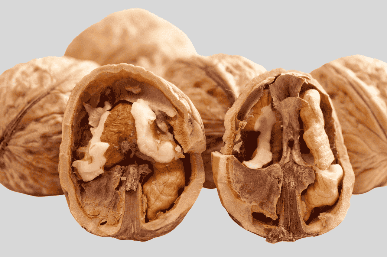 walnut vishal nursery